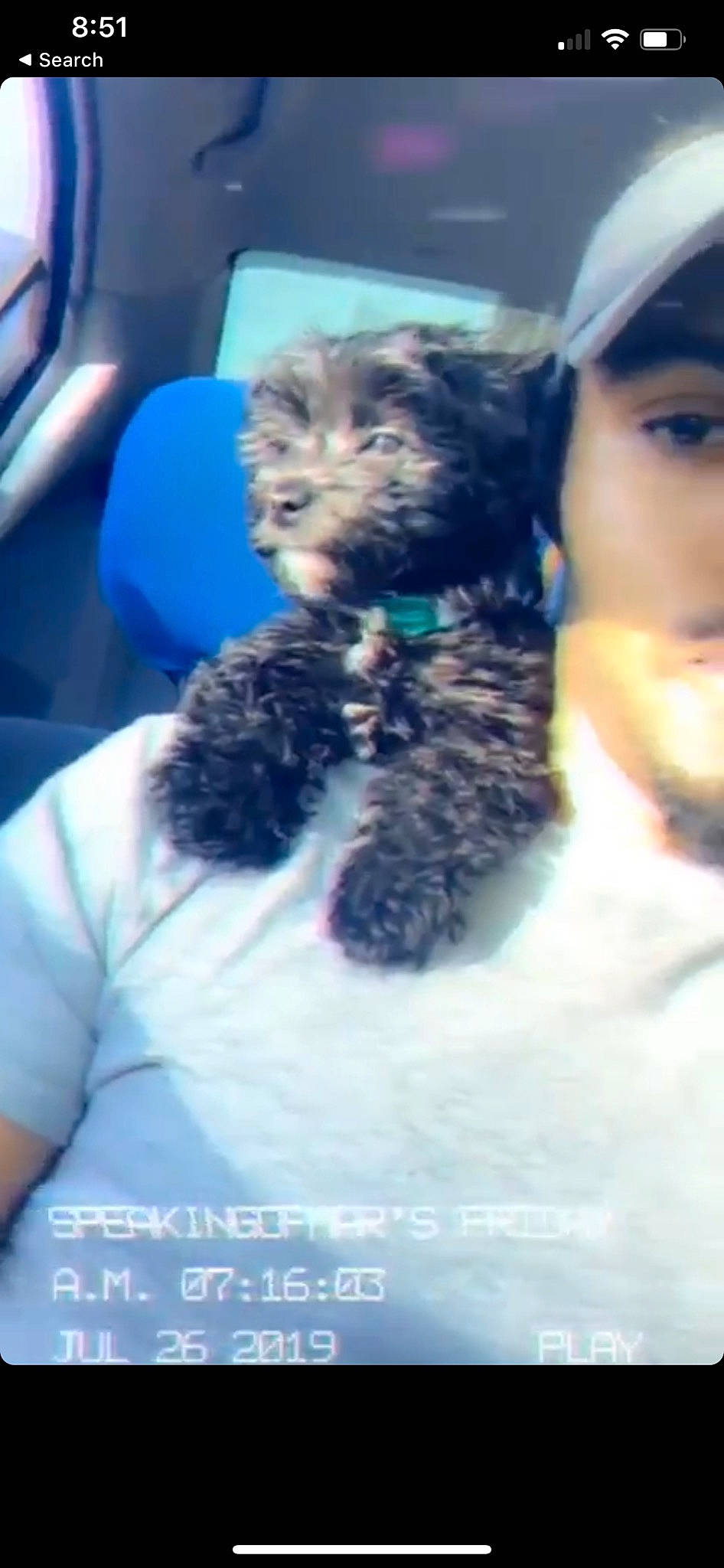 Marlo joined the competition — help win amazing prizes! cairn_terrier, canidae, carnivore, dog, dog_breed, morkie, puppy, schnoodle, selfie