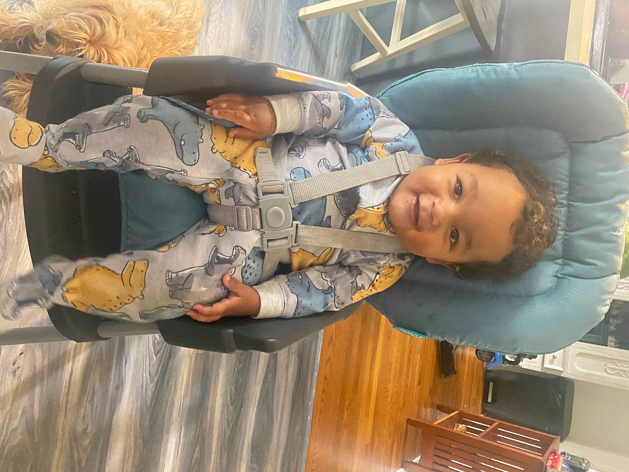 Kyren joined the competition — help win amazing prizes! child, comfort, denim, elbow, hardwood, hat, joy, person, smile, wood