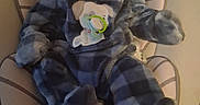 Travis joined the competition — help win amazing prizes! baby, infant, onesie, plaid, blue, baby_seat, cushion, blanket, cute, cozy, indoor, child, face, clothing, soft, newborn, person, expression, warm, comfort