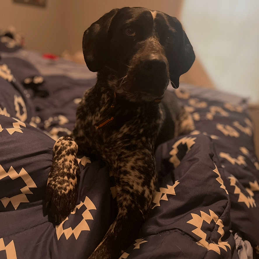 Tucker