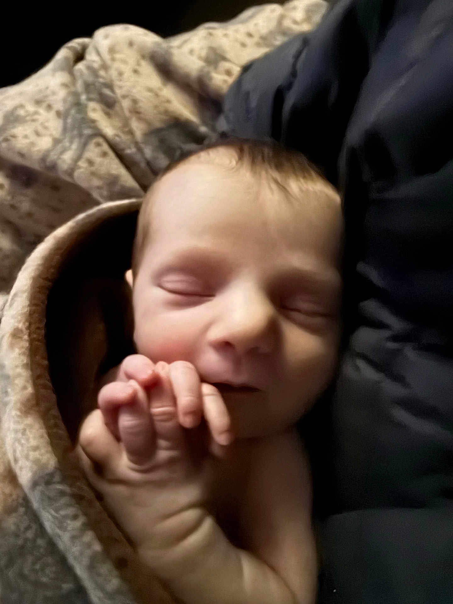 Dackelynne joined the competition — help win amazing prizes! newborn, baby, sleeping, hands, blanket, cozy, infant, peaceful, closeup, skin, portrait, child, cute, resting, soft, warm, wrapped, tiny, face, relaxation