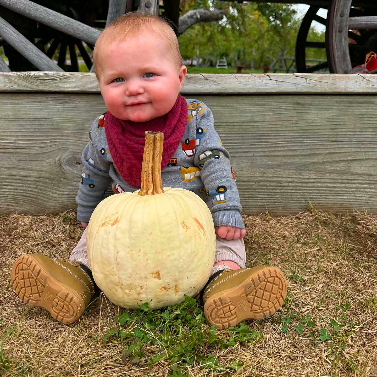 Demitri is registered to the contest to win money with this photo: baby, child, infant, pumpkin, autumn, harvest, outdoor, farm, rustic, wagon, wood, sitting, portrait, smiling, blue_eyes, boots, clothing, scarf, grass, fall