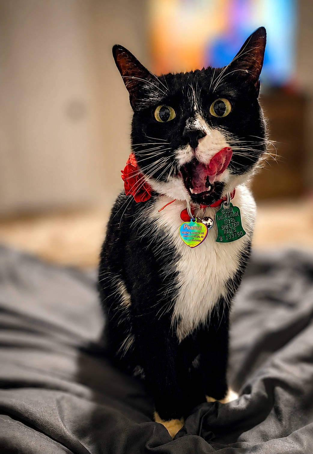 Pepper