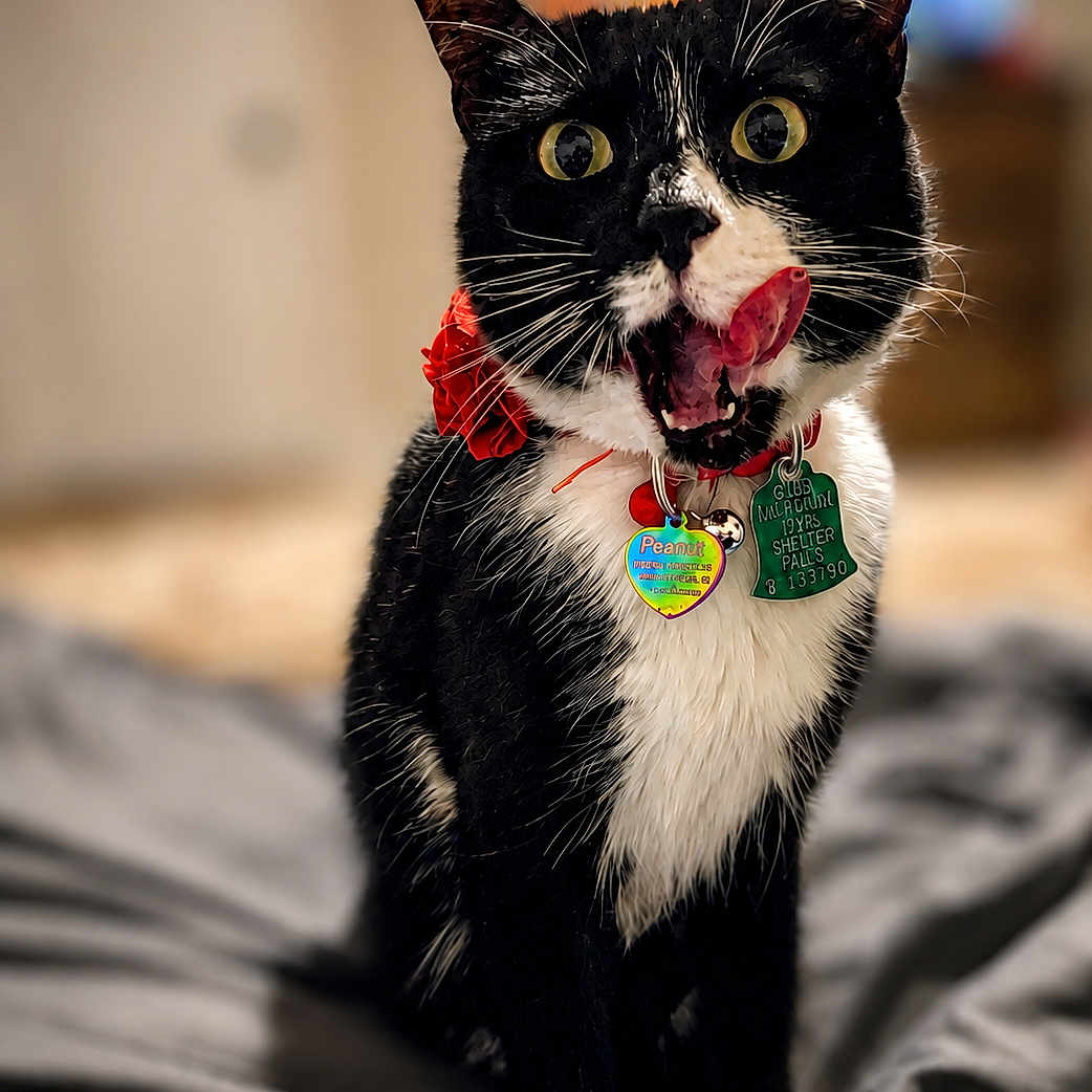 Pepper