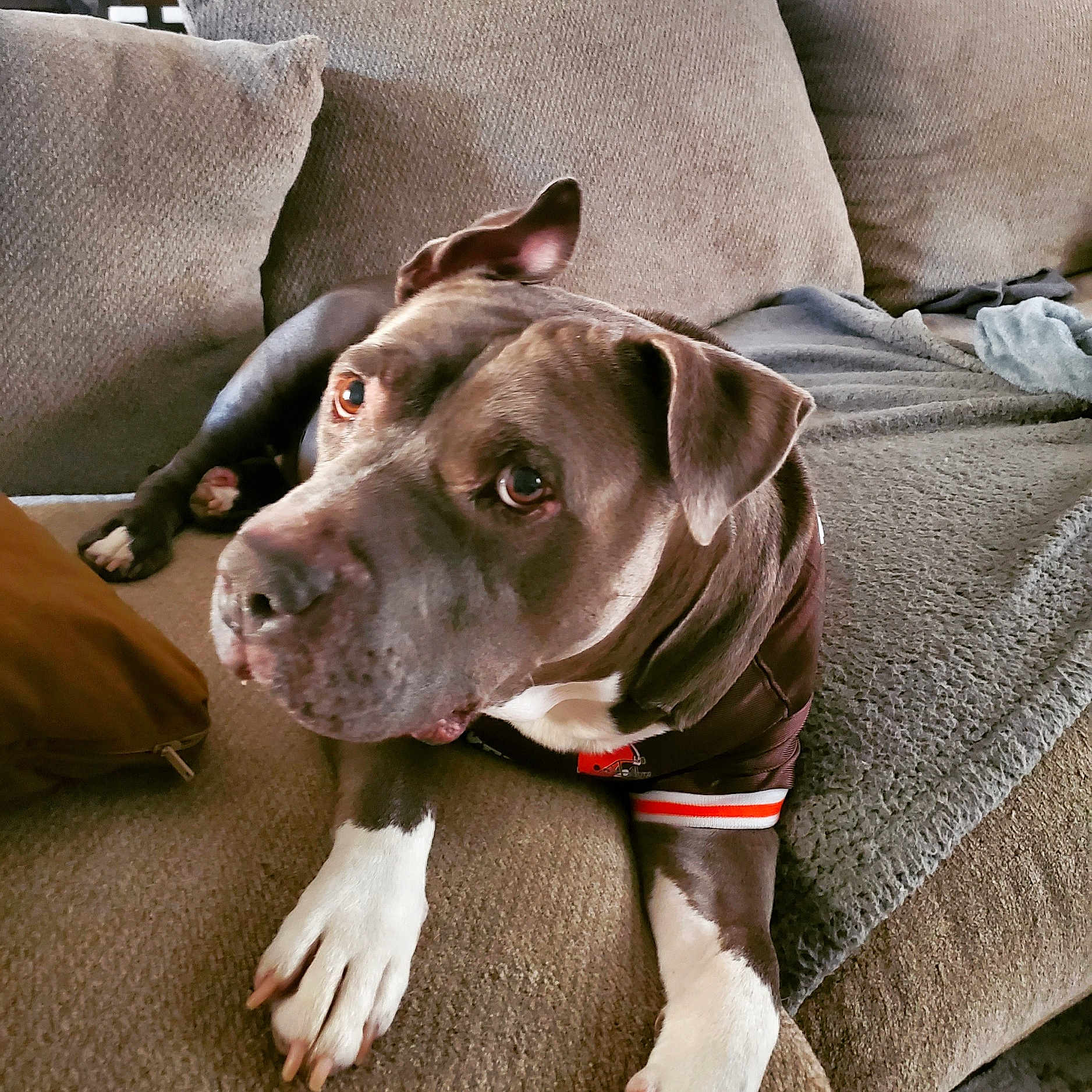 Duke