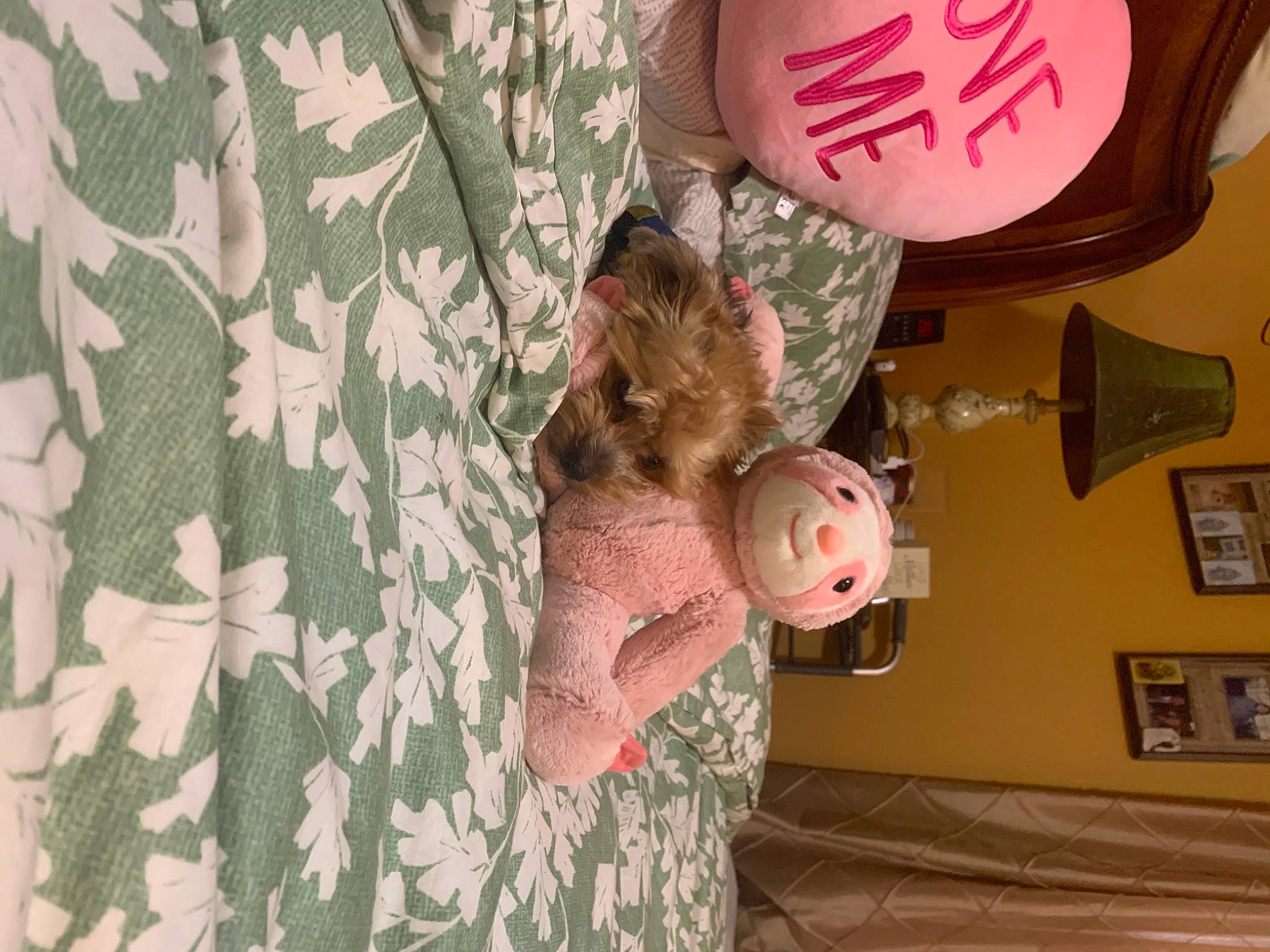 Enzo is registered to the contest to win money with this photo: camouflage, child, fawn, fun, pattern, room, toddler