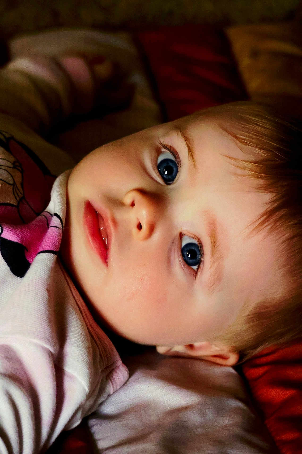 Lilia
