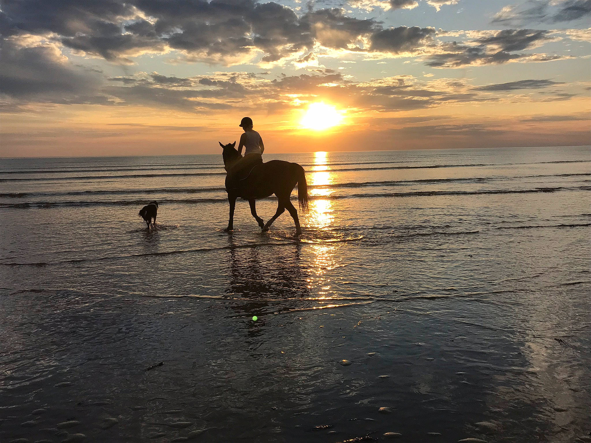 Delta De Loisel a rejoint le concours — aidez-le/la à gagner de superbes lots ! beach, calm, cloud, coast, equestrianism, evening, horizon, horse, morning, ocean, photography, recreation, reflection, sea, sky, sunrise, sunset, trail_riding, water, wave
