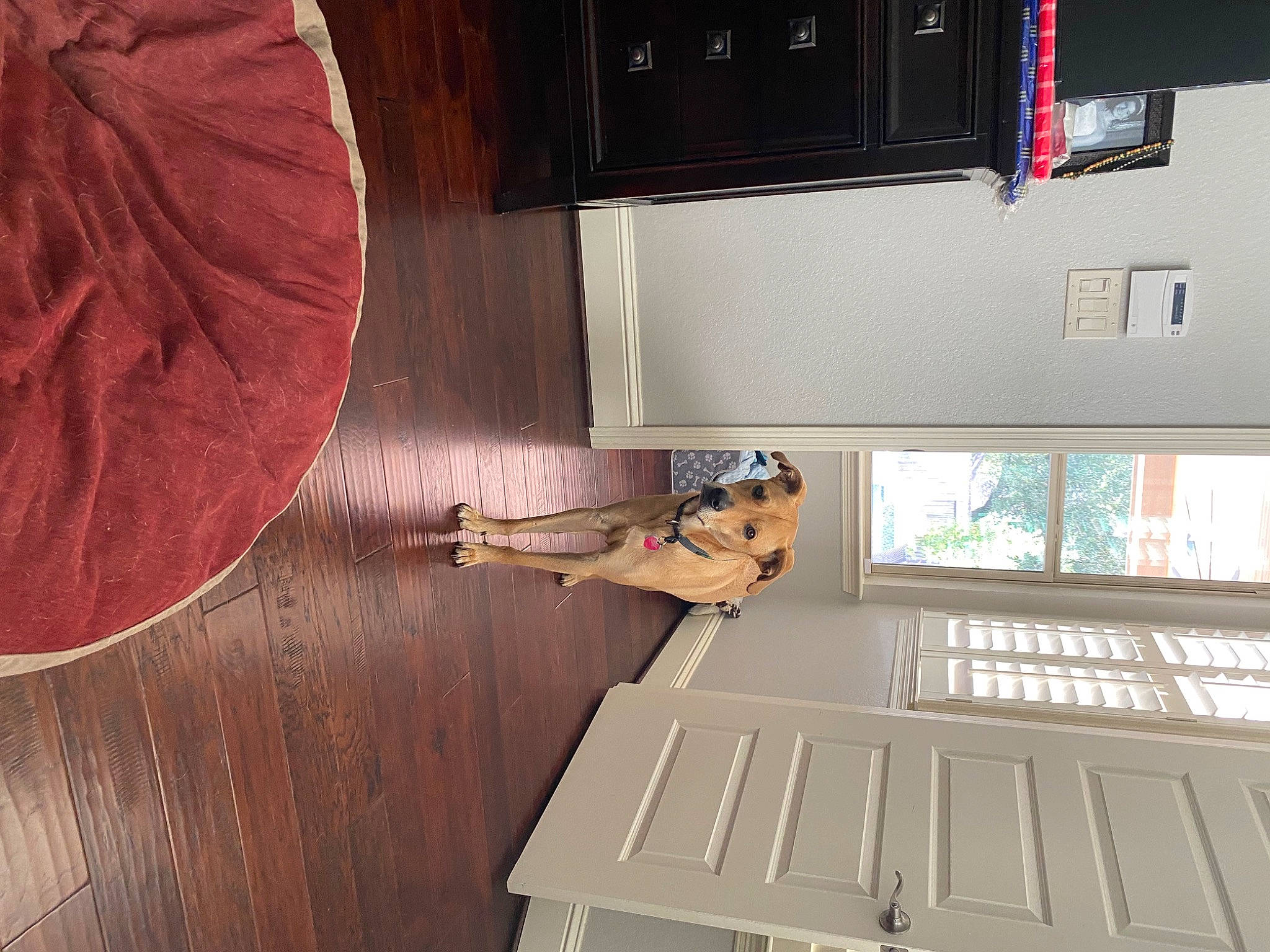 Diesel joined the competition — help win amazing prizes! architecture, building, ceiling, door, floor, flooring, hardwood, house, interior_design, line, plywood, room, stairs, table, tints_and_shades, varnish, wall, window, wood, wood_stain