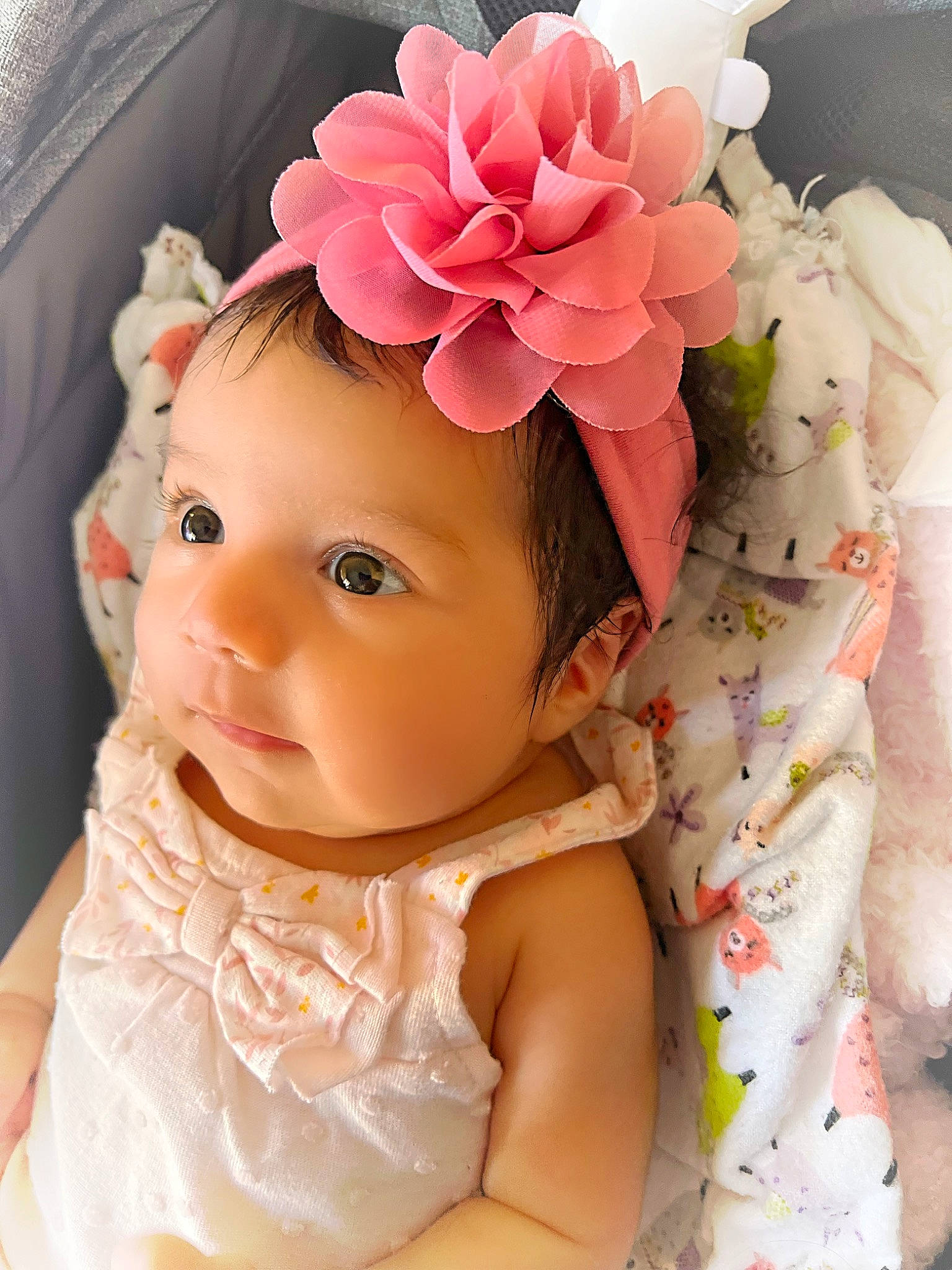 Cecilia joined the competition — help win amazing prizes! baby, baby_toddler_clothing, dress, embellishment, hairstyle, hand, happy, hat, headband, headgear, headpiece, lip, person, petal, pink, plant, product, skin, textile, toddler