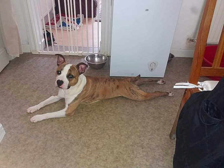Tyson