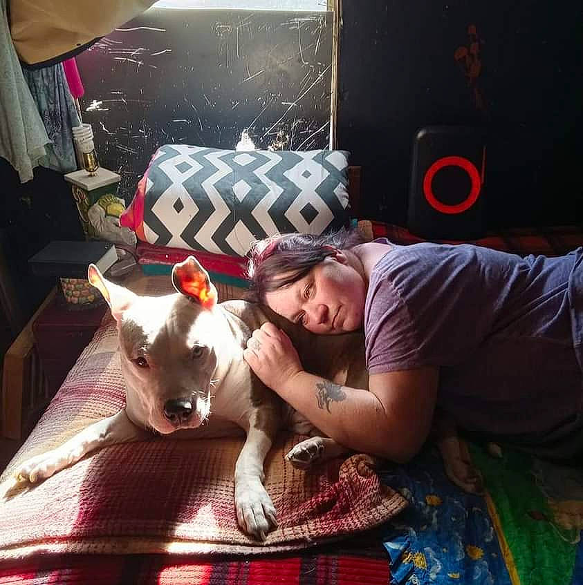 Hoss is registered to the contest to win money with this photo: canidae, carnivore, comfort, companion_dog, cool, couch, dog, dog_breed, fawn, felidae, flash_photography, fun, fur, human_leg, lap, sitting, small_to_medium_sized_cats, sporting_group, t_shirt, thigh