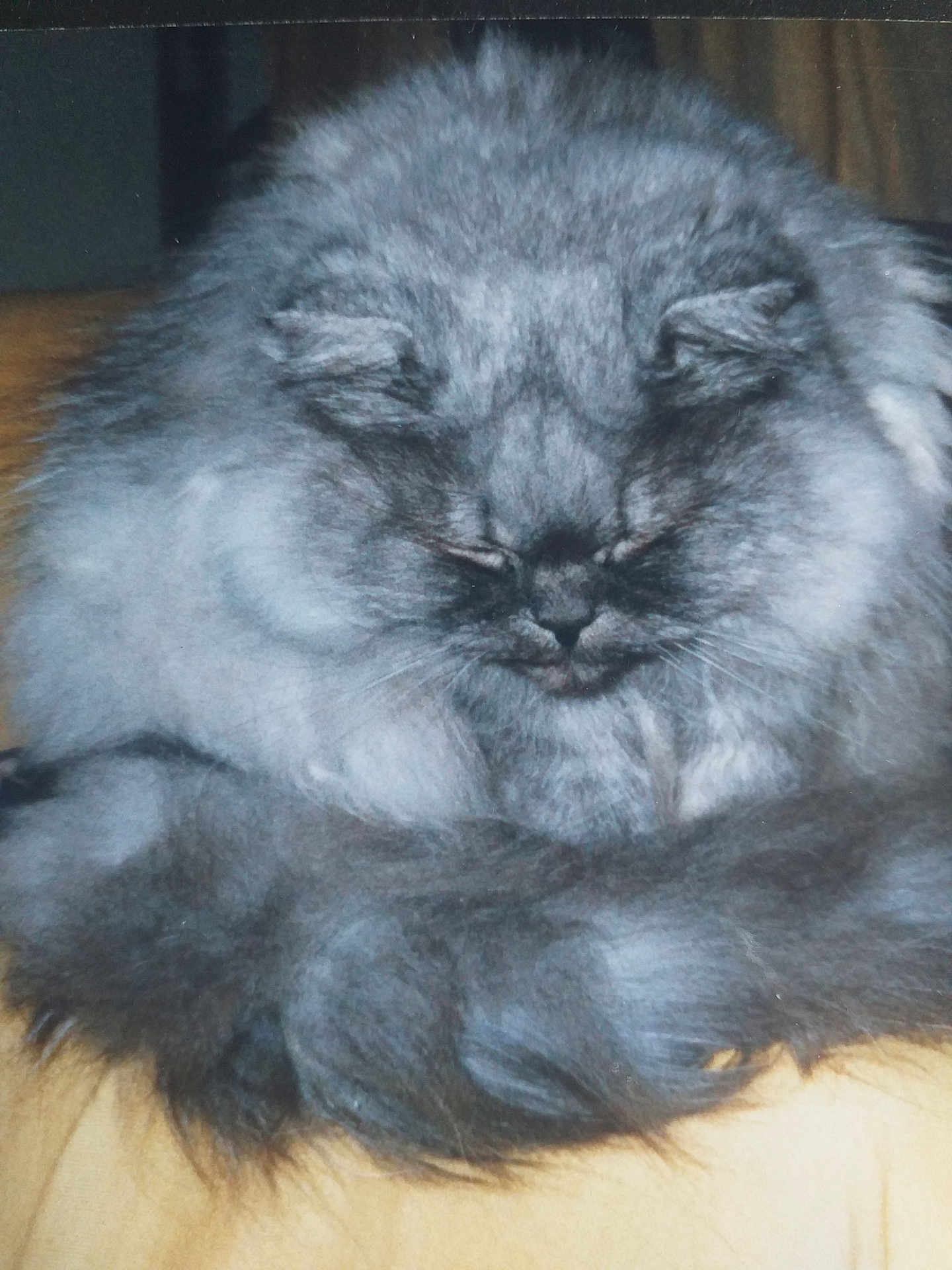 Doudou
