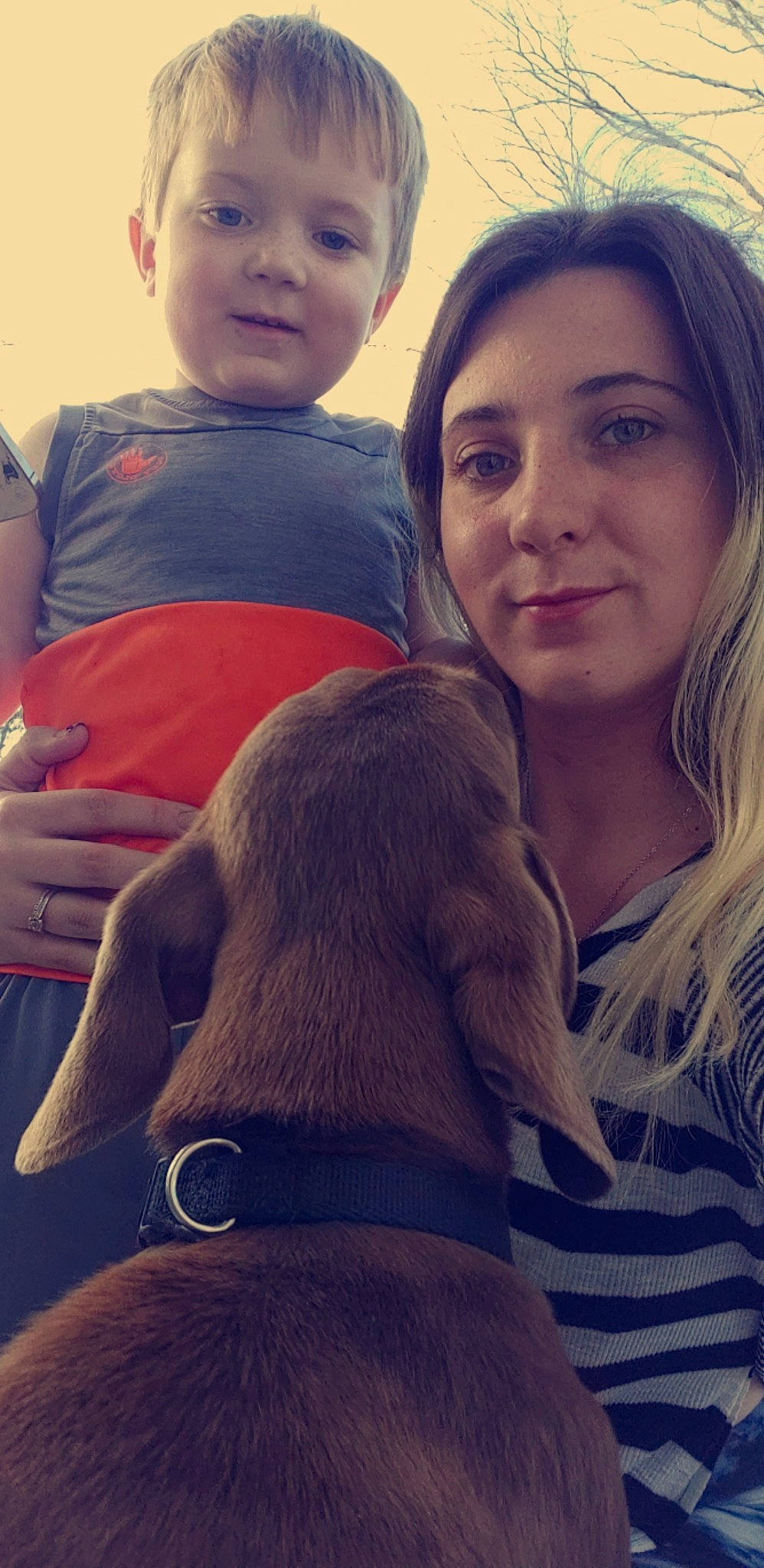 Anthony joined the competition — help win amazing prizes! carnivore, companion_dog, cool, dog, dog_breed, eye, face, fawn, gesture, happy, head, interaction, iris, joy, light, lip, nose, organ, person, skin