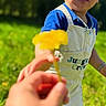 child, toddler, flower, hand, outdoor, grass, sunlight, overalls, blue_shirt, greenery, face, person, nature, daytime, notification, digital_clock, phone_screen, casual_clothing, happy, curious