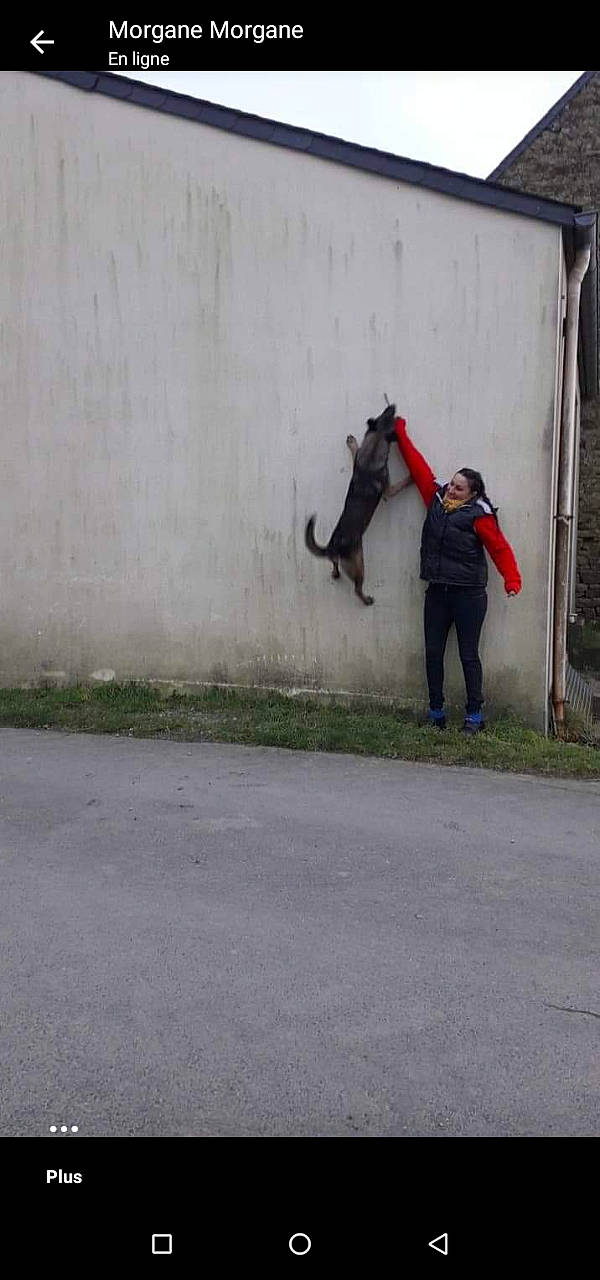 Boyka a rejoint le concours — aidez-le/la à gagner de superbes lots ! art, asphalt, carmine, concrete, fun, grey, human_leg, knee, recreation, road_surface, rolling, shadow, sidewalk, street, street_fashion, visual_arts, walking