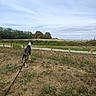 Byron a rejoint le concours — aidez-le/la à gagner de superbes lots ! dog, black_and_white_dog, animal, pet, leash, outdoor, countryside, rural, field, grass, dry_grass, cornfield, fence, wooden_fence, path, trees, landscape, sky, clouds, nature