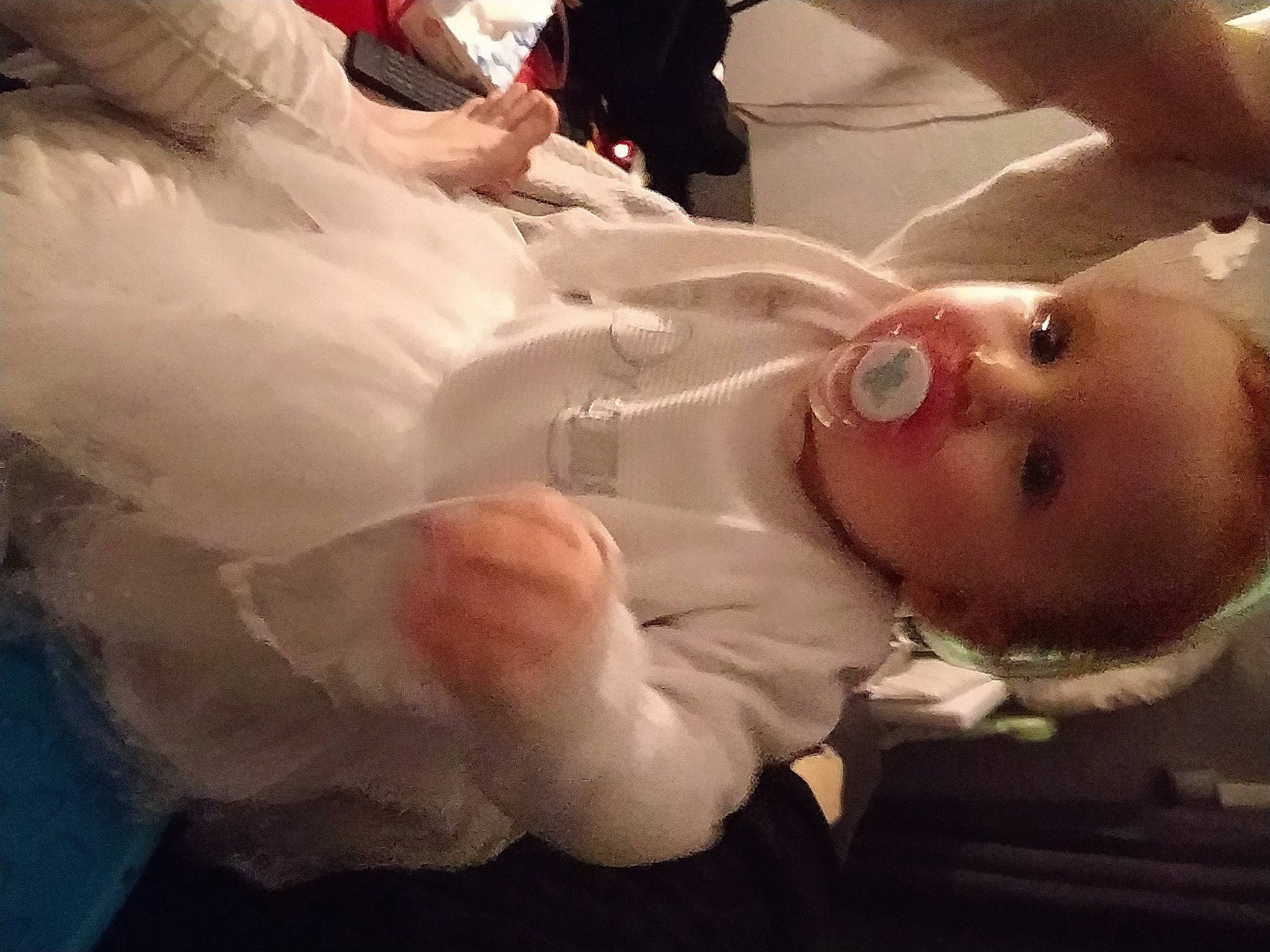 Celia a rejoint le concours — aidez-le/la à gagner de superbes lots ! abdomen, baby, cheek, child, ear, eyebrow, eyelash, fun, fur, gesture, hair, happy, hat, headgear, human_body, lip, mouth, nose, person, skin