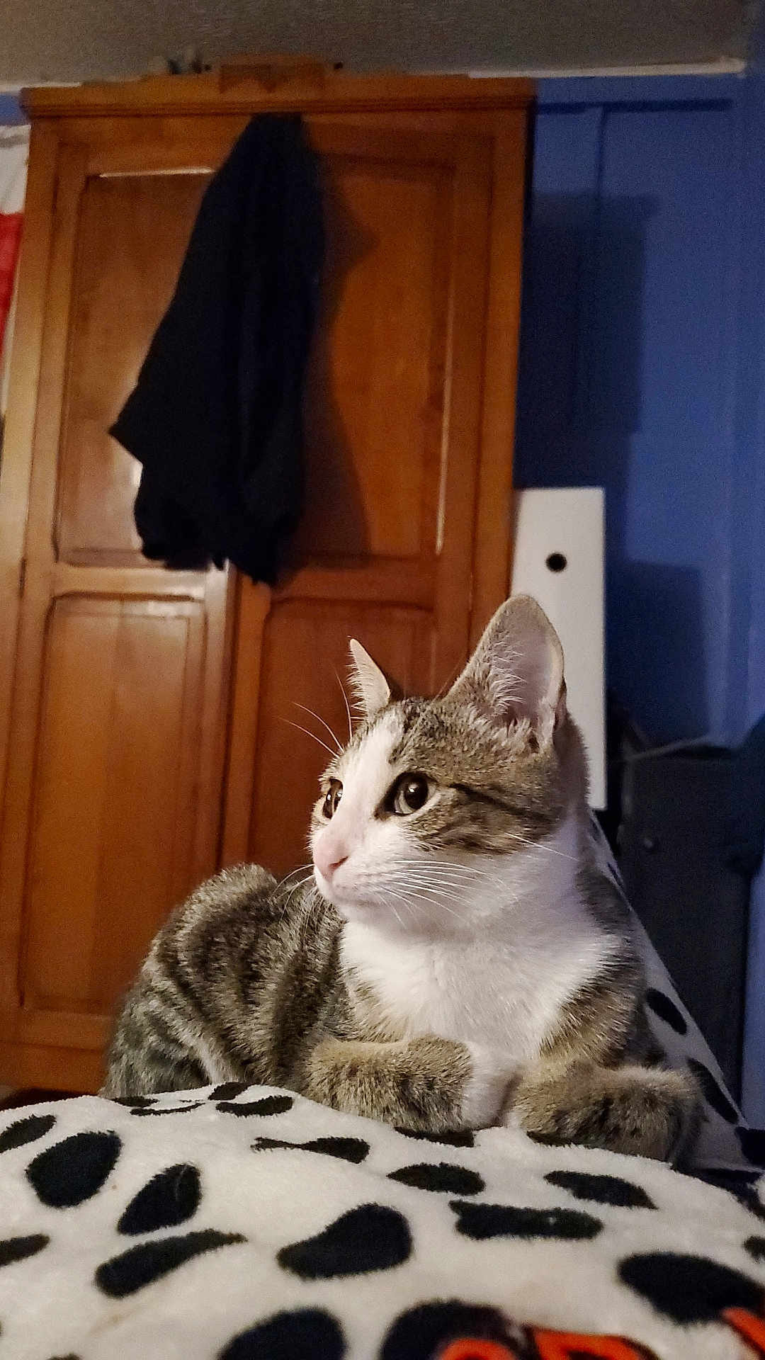 Nala