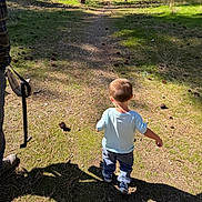 Caleb is registered to the contest to win money with this photo: child, toddler, outdoors, forest, trail, nature, trees, pine_trees, pine_cones, grass, sunlight, shadows, walking, exploring, back_view, blue_shirt, pants, shoes, parked_cars, family_outing