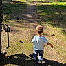 child, toddler, outdoors, forest, trail, nature, trees, pine_trees, pine_cones, grass, sunlight, shadows, walking, exploring, back_view, blue_shirt, pants, shoes, parked_cars, family_outing