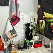 Kira is registered to the contest to win money with this photo: cat, black_and_white_cat, plant, potted_plant, dresser, bottle, glass, sketches, wall_art, tape, clutter, room, furniture, curious, indoor, decor, container, tabletop, curtain, miscellaneous