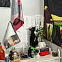 cat, black_and_white_cat, plant, potted_plant, dresser, bottle, glass, sketches, wall_art, tape, clutter, room, furniture, curious, indoor, decor, container, tabletop, curtain, miscellaneous
