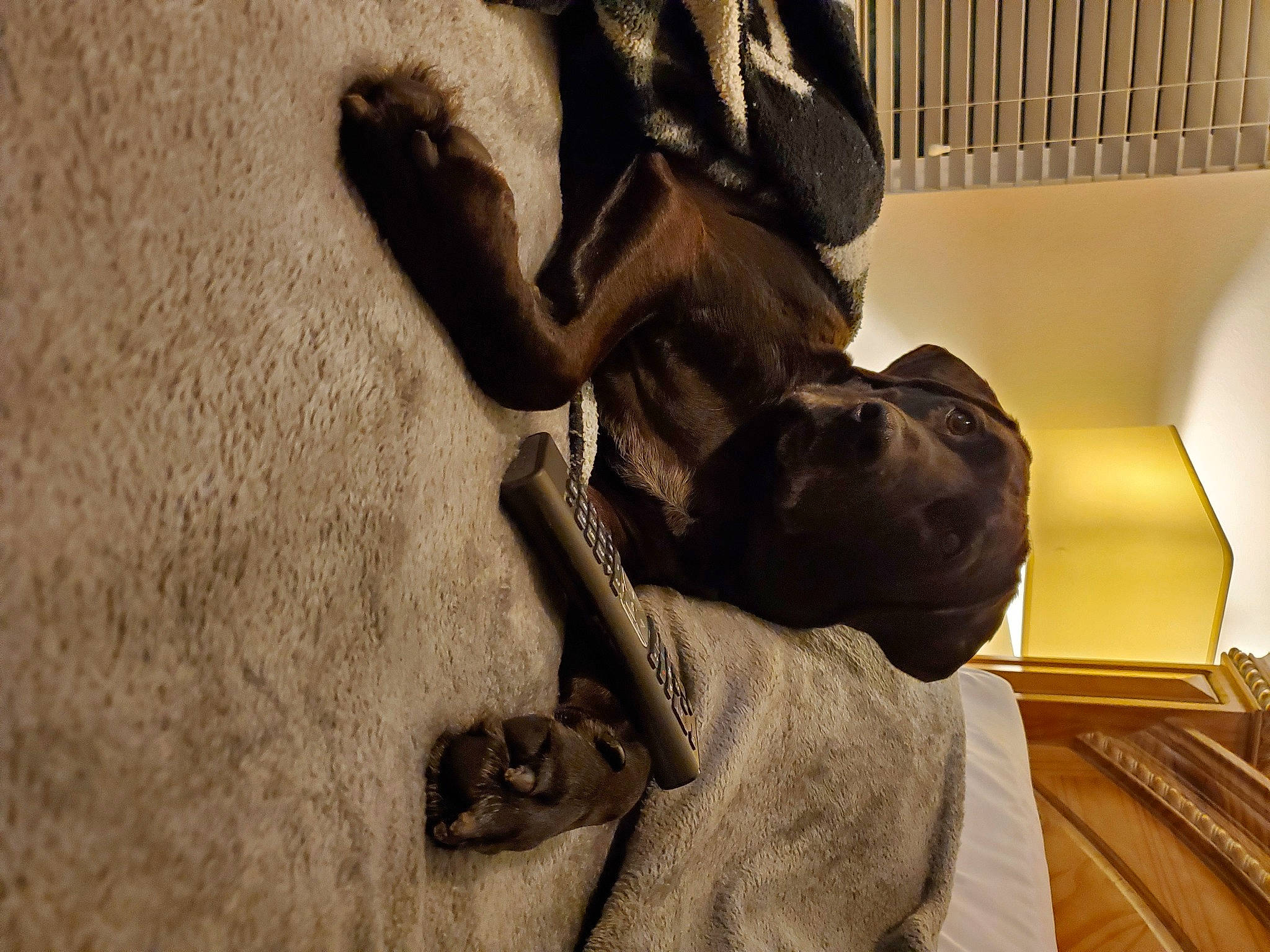 Rocky is registered to the contest to win money with this photo: art, artifact, bronze_sculpture, carving, classical_sculpture, elbow, gesture, grey, human_leg, knee, metal, monochrome, monochrome_photography, monument, sculpture, shadow, statue, visual_arts, wood, wrist