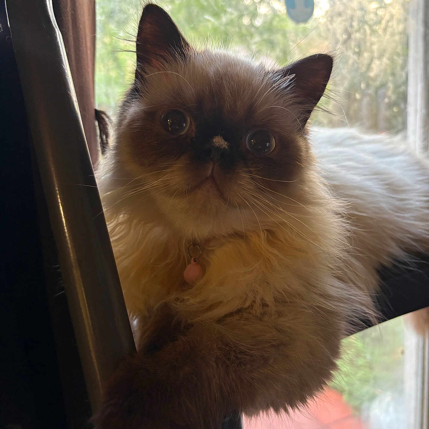 Niki