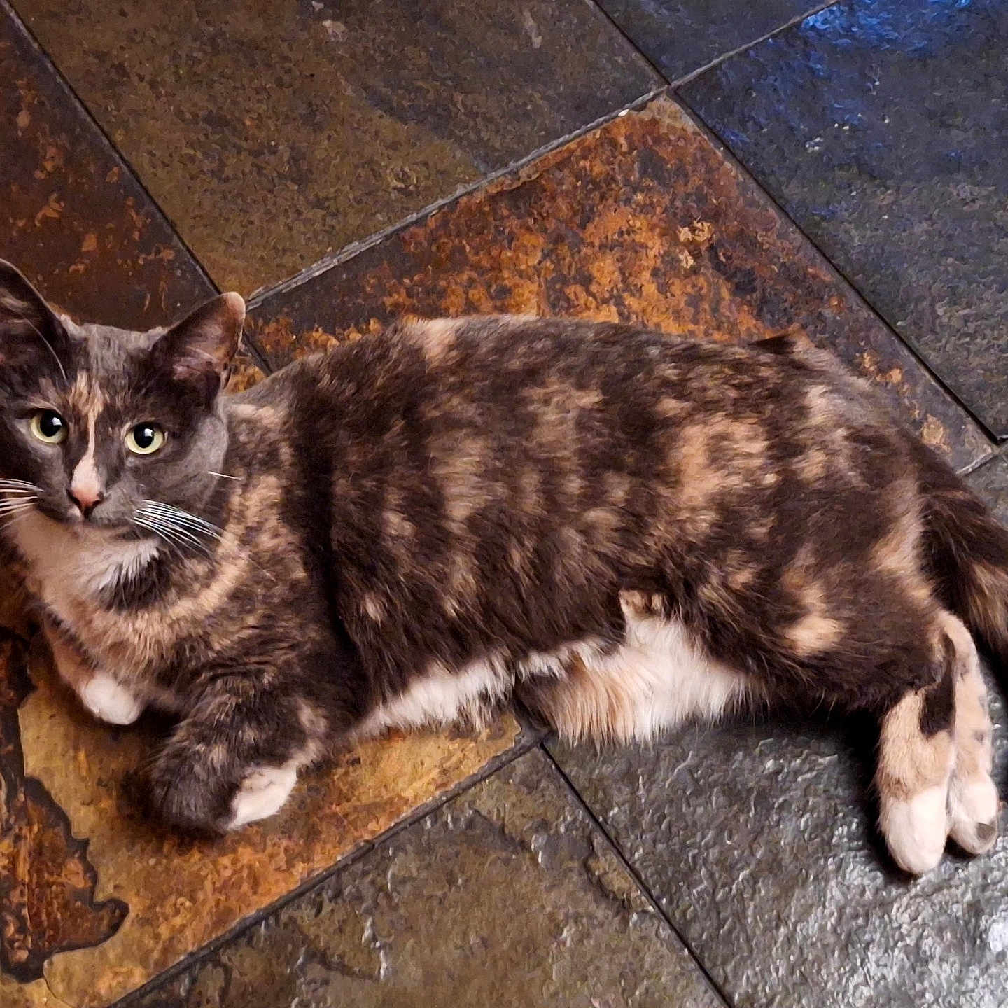 Marbles