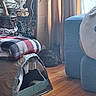 cat, indoor, cardboard, blanket, curtain, floor, plant, pot, furniture, blue_couch, wooden_floor, cozy, homedecor, box, duct_tape, cat_tent, shadow, corner, soft_light, relaxing