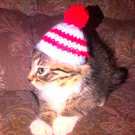 Tabitha