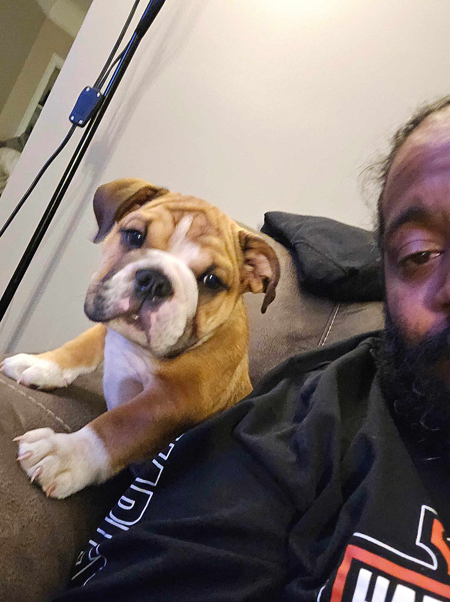 Diesel