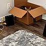 Leo is registered to the contest to win money with this photo: amazon_box, animal, box_flaps, cables, cardboard_box, cat, cozy, curious, floor, furniture, home, indoor, mischievous, peeking, pet, power_outlet, rug, tabby_cat, technology, wooden_floor