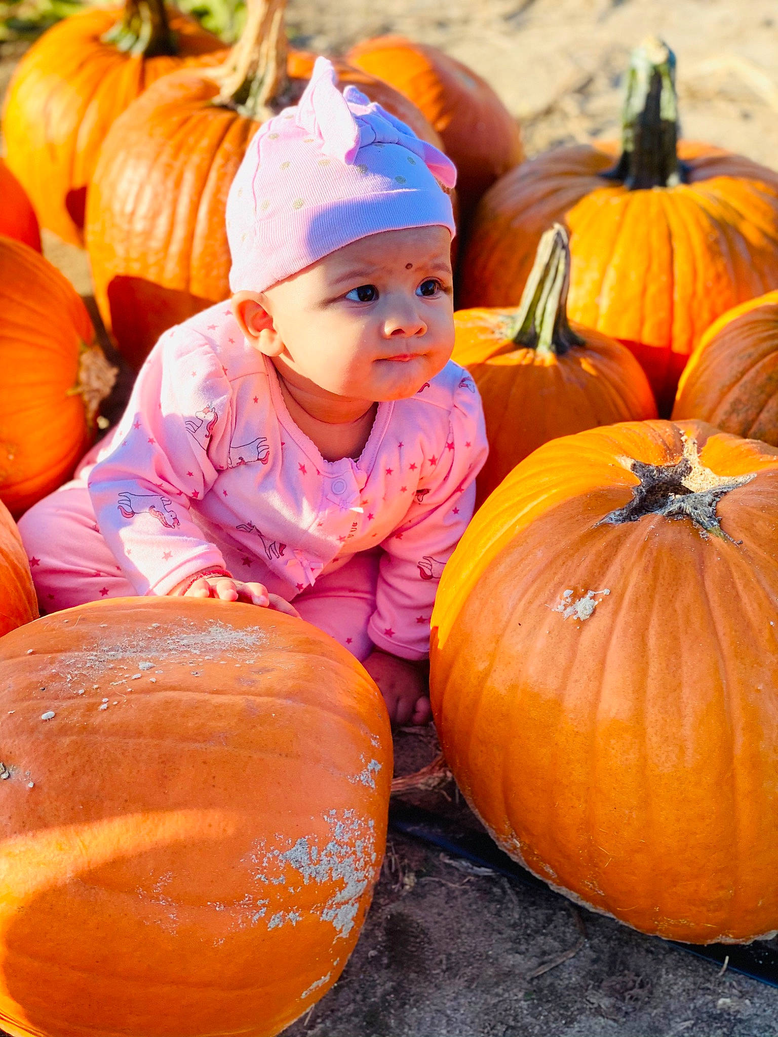 Givani is registered to the contest to win money with this photo: calabaza, cucurbita, eye, facial_expression, gourd, green, happy, head, headwear, local_food, natural_foods, orange, people, person, photograph, plant, pumpkin, squash, tradition, vegetable