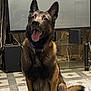 dog, german_shepherd, indoor, pet, animal, floor, tongue_out, ears_up, sitting, happy, electronic_equipment, tv_screen, cables, collar, furniture, tile_floor, brown_fur, black_fur, canine, domestic_animal