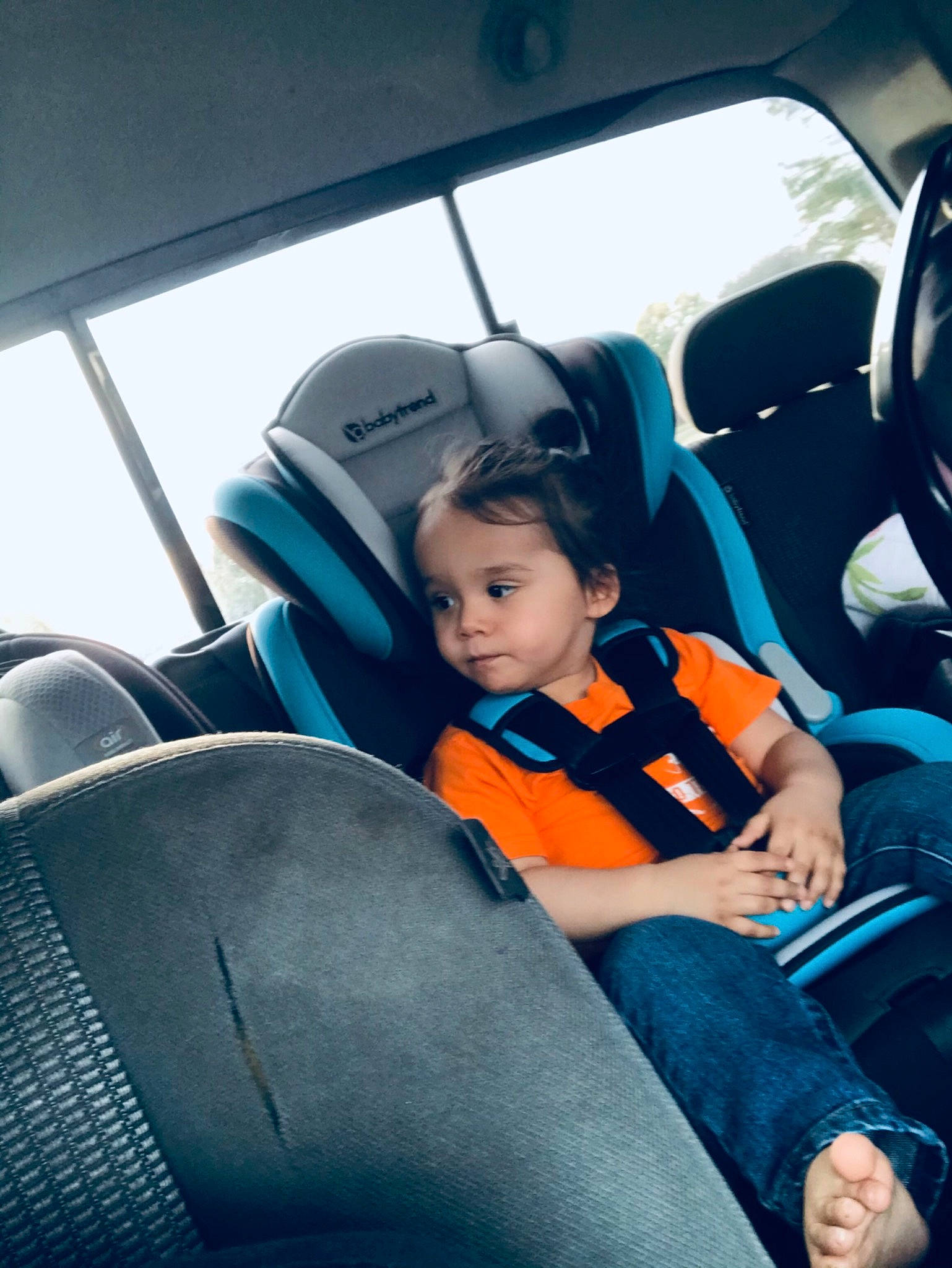 Gannon joined the competition — help win amazing prizes! automotive_window_part, baby_in_car_seat, car_seat, car_seat_cover, comfort, family_car, head_restraint, lap, motor_vehicle, passenger, person, seat_belt, service, steering_part, steering_wheel, transport, vehicle_door