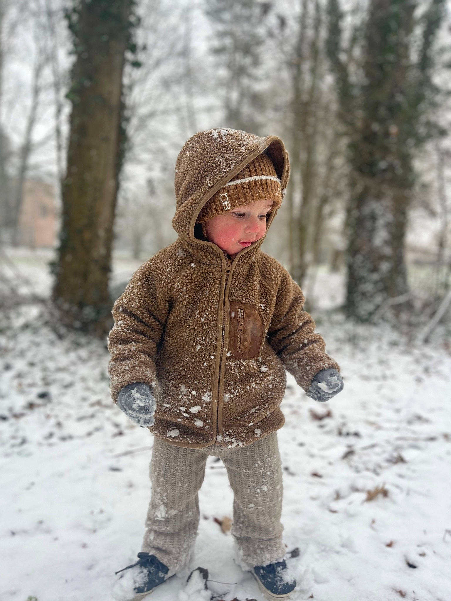 Naël participe au concours pour gagner de l'argent avec cette photo : beanie, cap, child, face, freezing, fur, headgear, hood, jacket, knit_cap, parka, people_in_nature, person, playing_in_the_snow, precipitation, recreation, sleeve, snow, toddler, tree