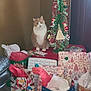 cat, celebration, christmas_tree, cozy, decorations, feline, festive, gift_bags, green, holiday, holiday_gifts, indoor, orange_cat, ornaments, red, red_tablecloth, sitting, table, white_cat, wrapped_presents