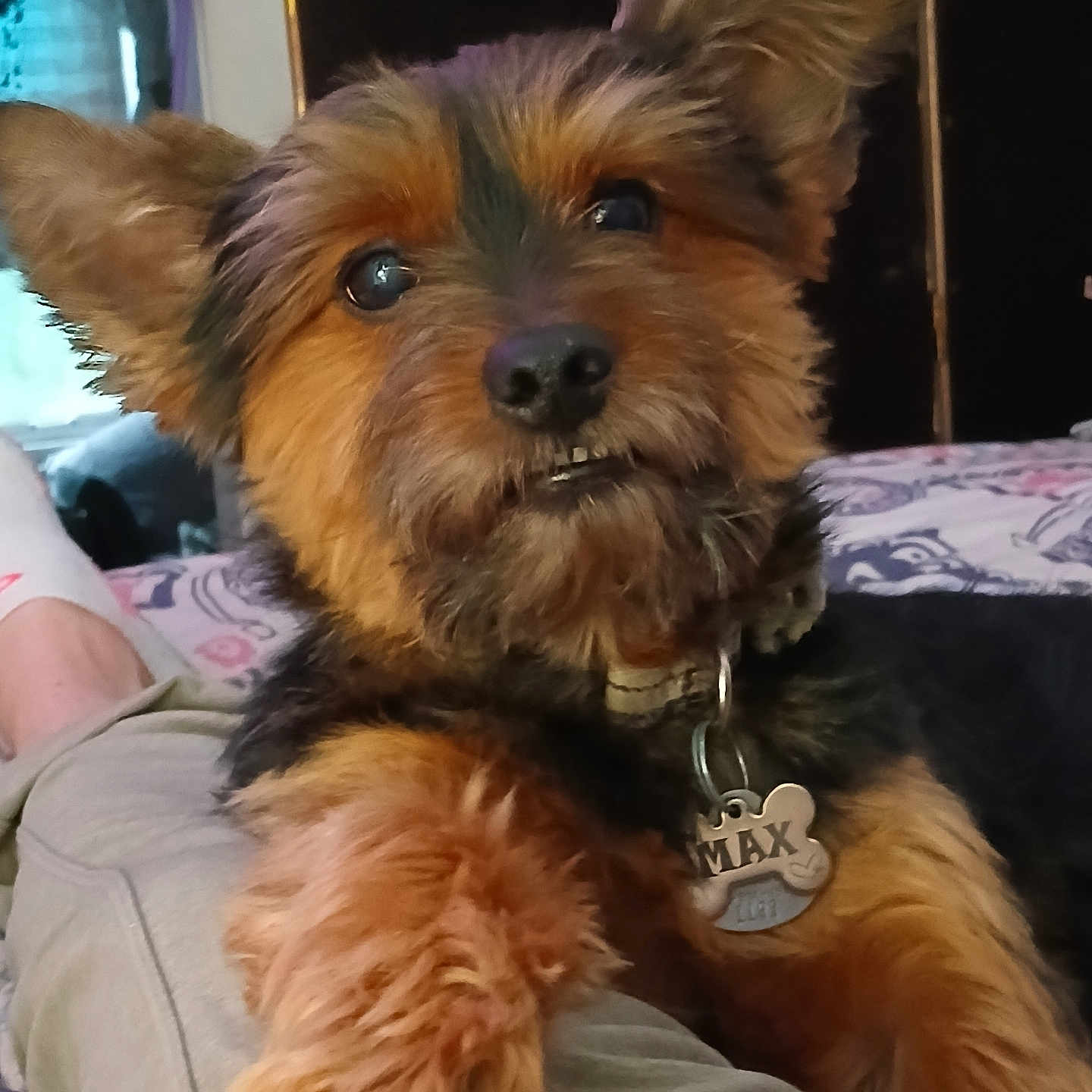 Max