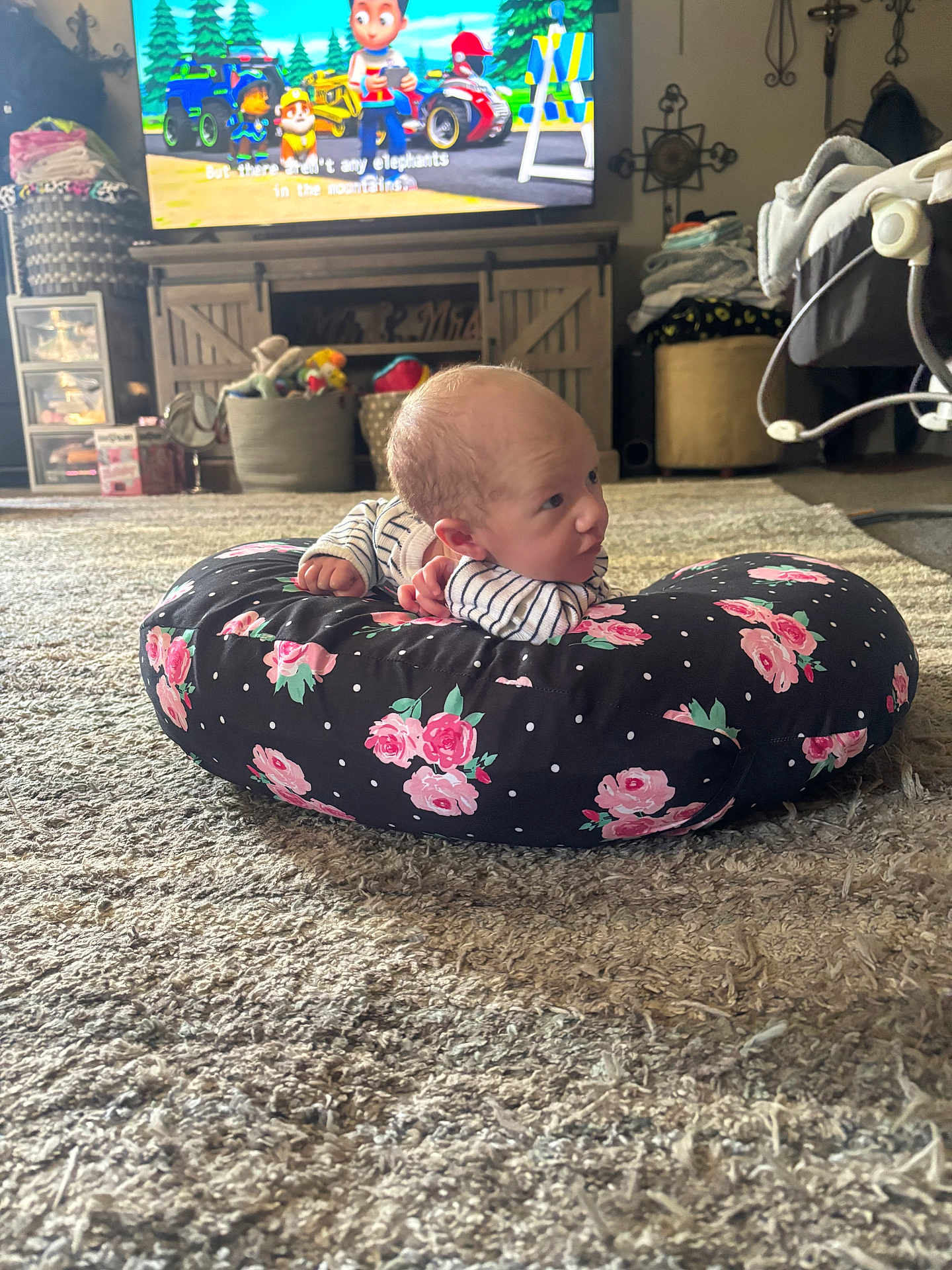 Athena is registered to the contest to win money with this photo: baby, infant, cushion, floral_pattern, carpet, living_room, television, cartoon, furniture, decor, blanket, toy, home, floor, person, cute, child, striped_clothing, relaxing, indoor