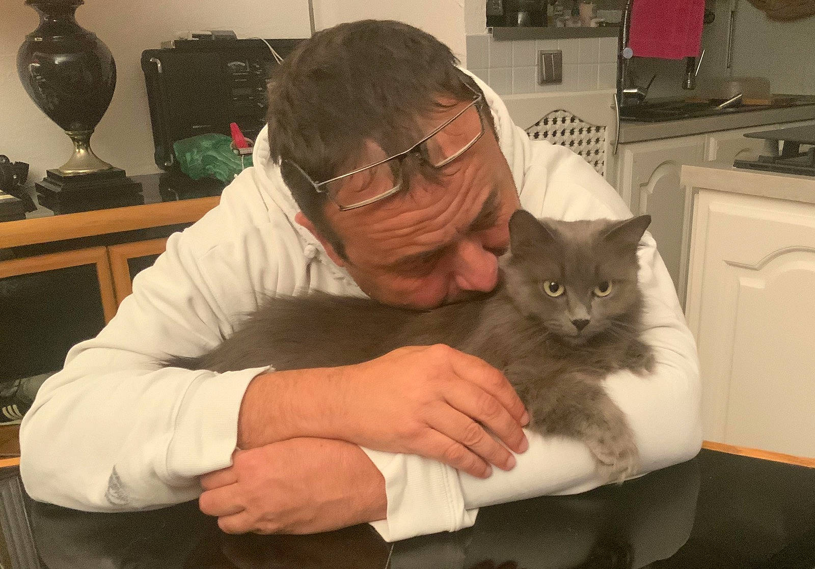 Babou a rejoint le concours — aidez-le/la à gagner de superbes lots ! asian, british_semi_longhair, carnivore, cat, chartreux, domestic_short_haired_cat, ear, european_shorthair, felidae, nebelung, russian_blue, small_to_medium_sized_cats, whiskers