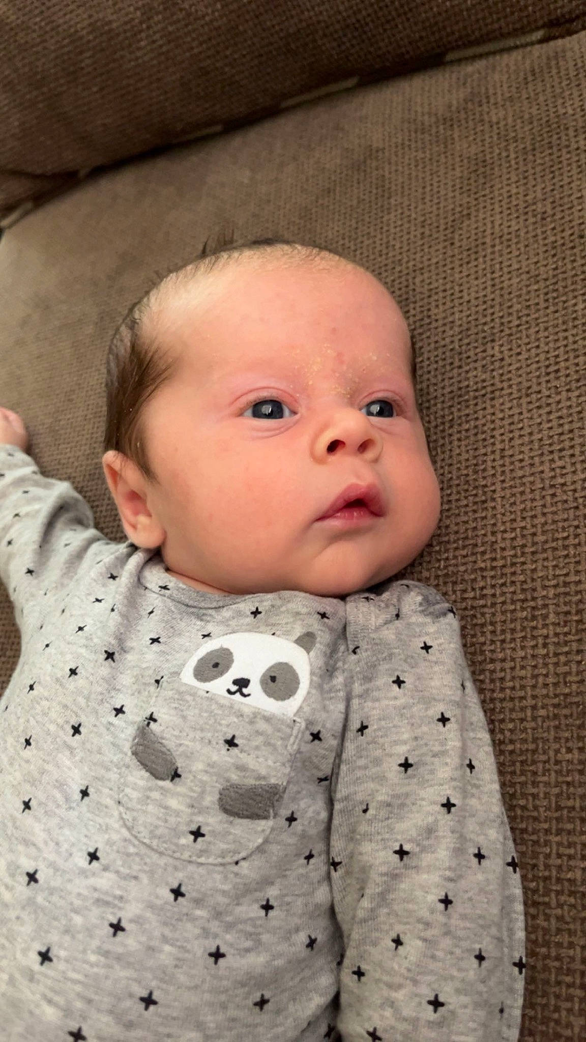 Cooper is registered to the contest to win money with this photo: baby, baby_toddler_clothing, cheek, child, clothing, collar, comfort, eyelash, face, fur, iris, linens, lip, outerwear, pattern, person, sitting, skin, sleeve, textile