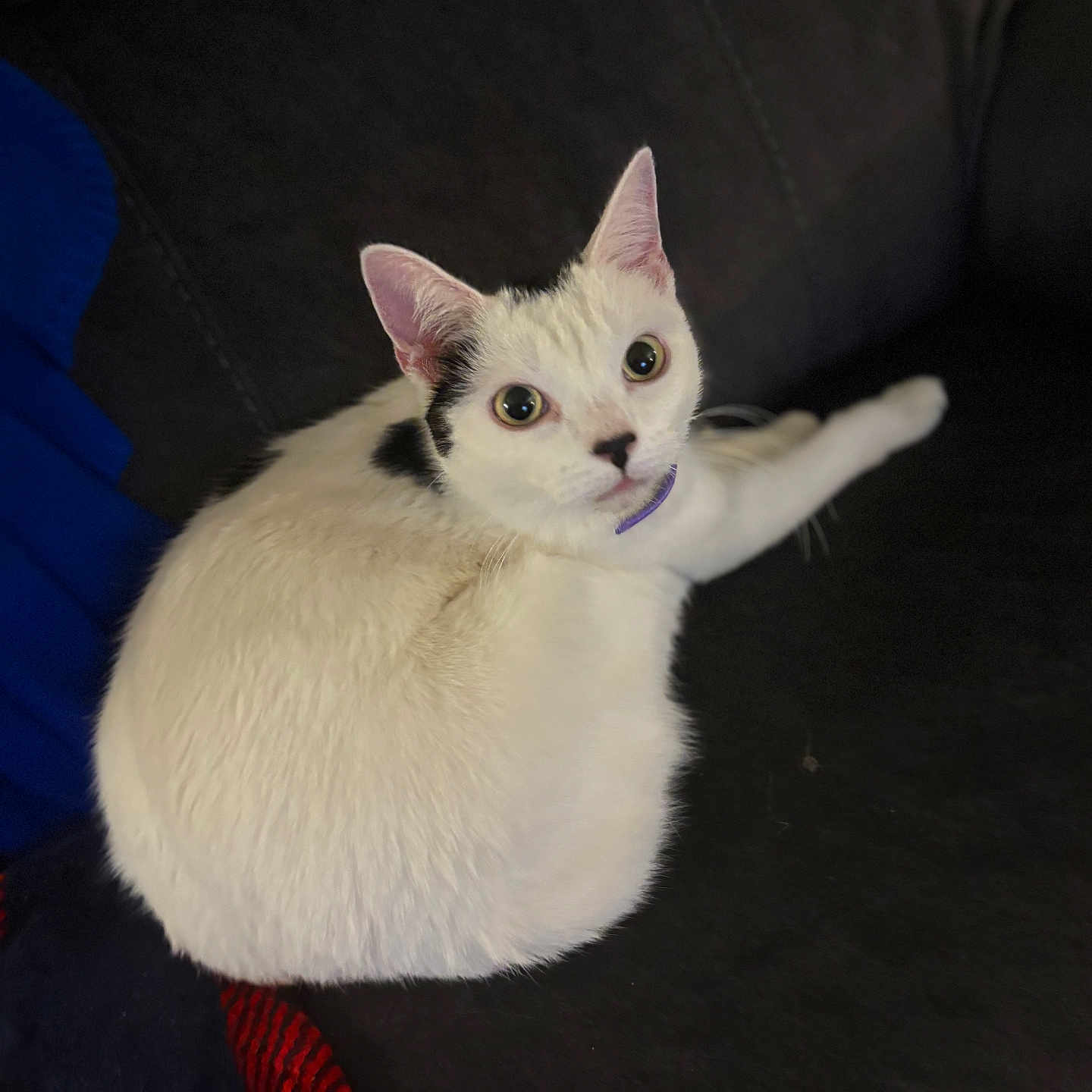 Casper