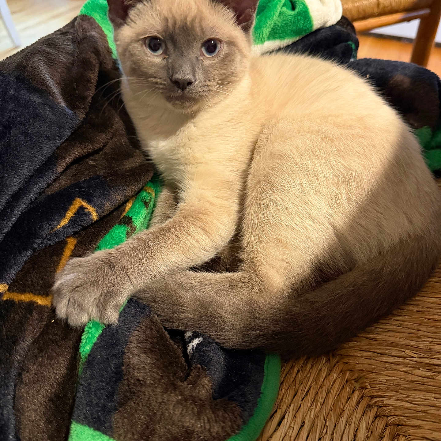Mia
