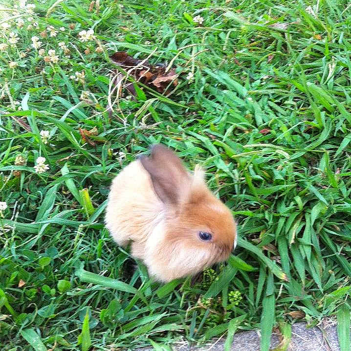 Tippy is registered to the contest to win money with this photo: