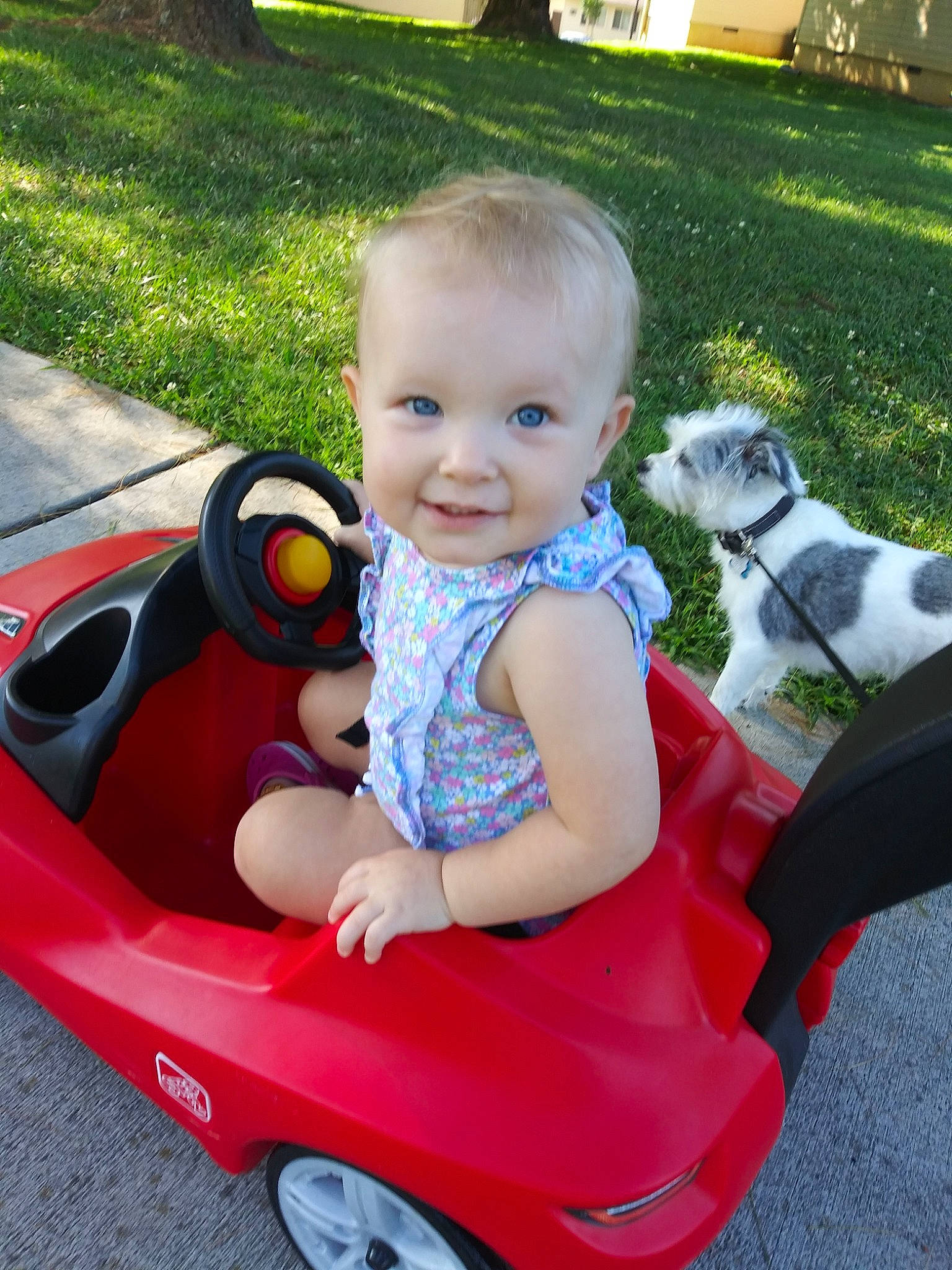 Maci joined the competition — help win amazing prizes! baby, baby_carriage, baby_products, car, child, fun, grass, joy, leisure, person, plant, play, product, red, sitting, skin, summer, toddler, vacation, vehicle