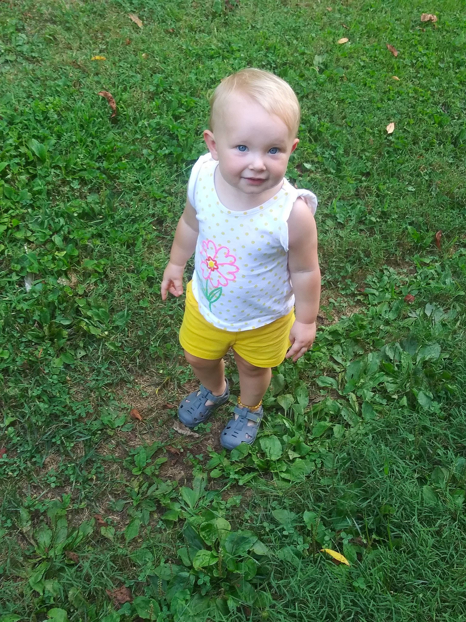 Maci joined the competition — help win amazing prizes! child, fun, grass, grass_family, green, joy, lawn, leaf, meadow, person, plant, play, smile, summer, toddler