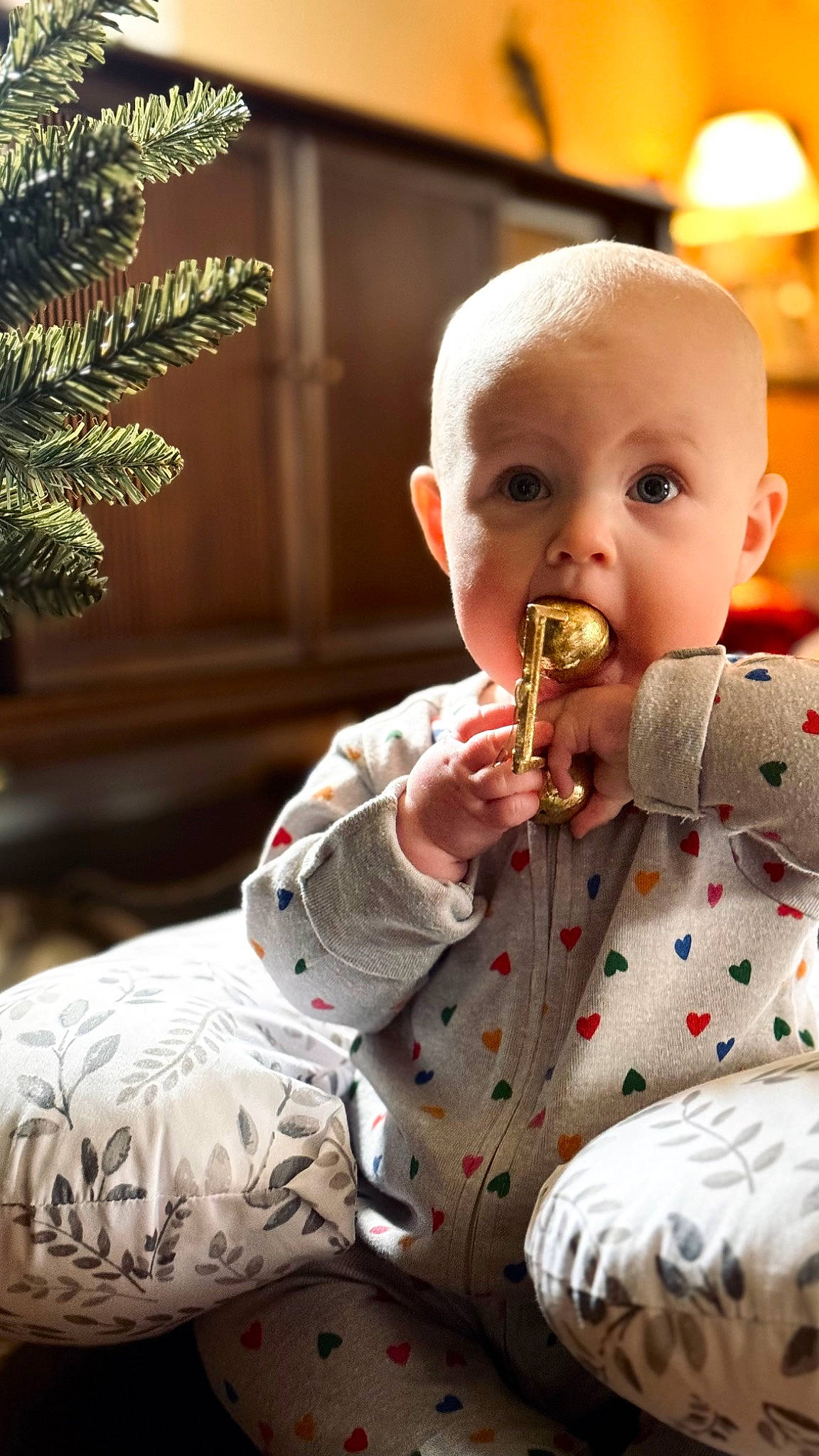 Dylan is registered to the contest to win money with this photo: baby, baby_toddler_clothing, cheek, child, chin, conifer, event, eye, fun, grass, happy, holiday, linens, pattern, person, room, sitting, skin, sleeve, surprise