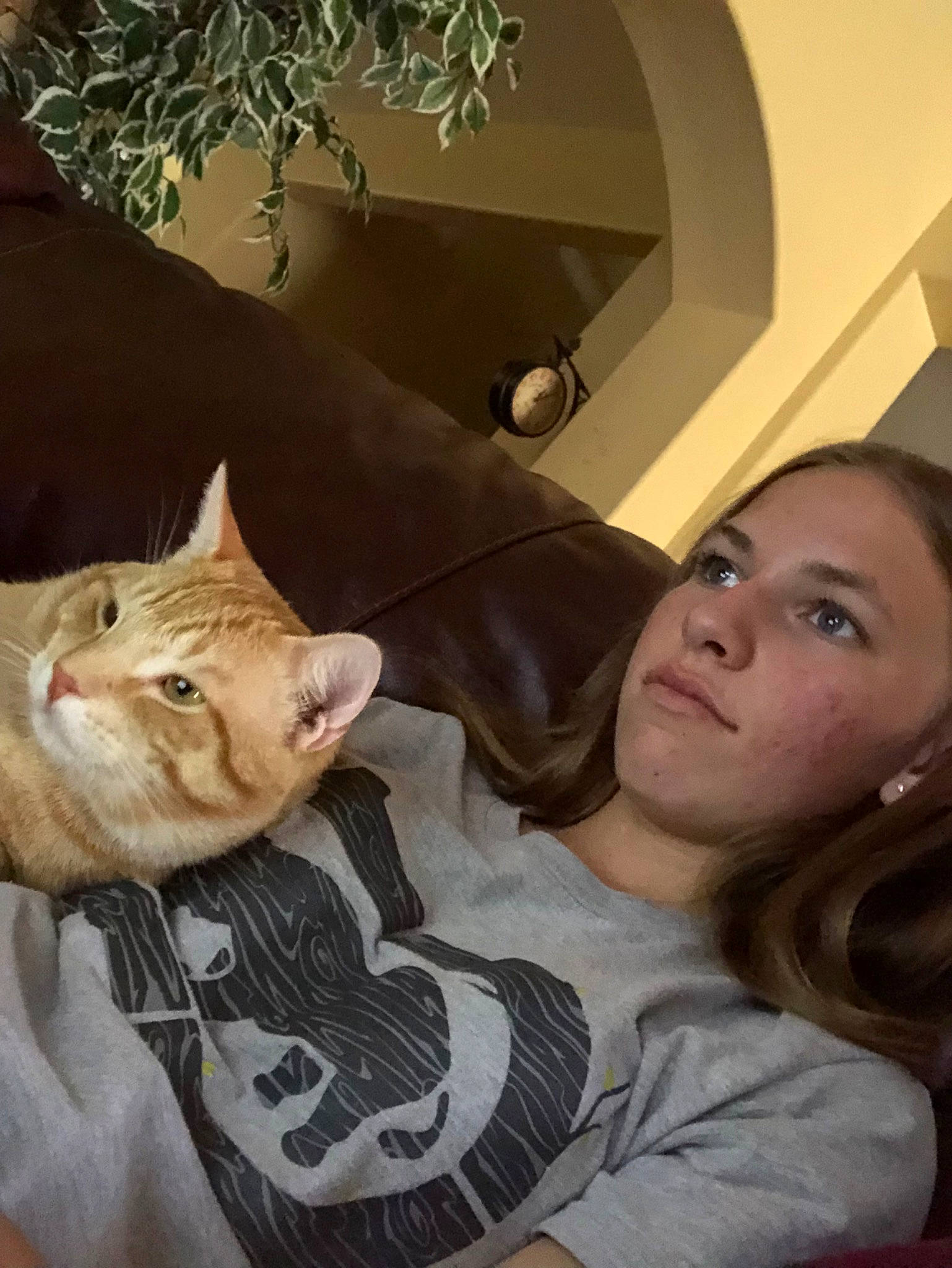 Chuck joined the competition — help win amazing prizes! asian, carnivore, cat, child, ear, european_shorthair, eye, fawn, felidae, fur, kitten, leg, nose, photography, selfie, skin, small_to_medium_sized_cats, tabby_cat, whiskers